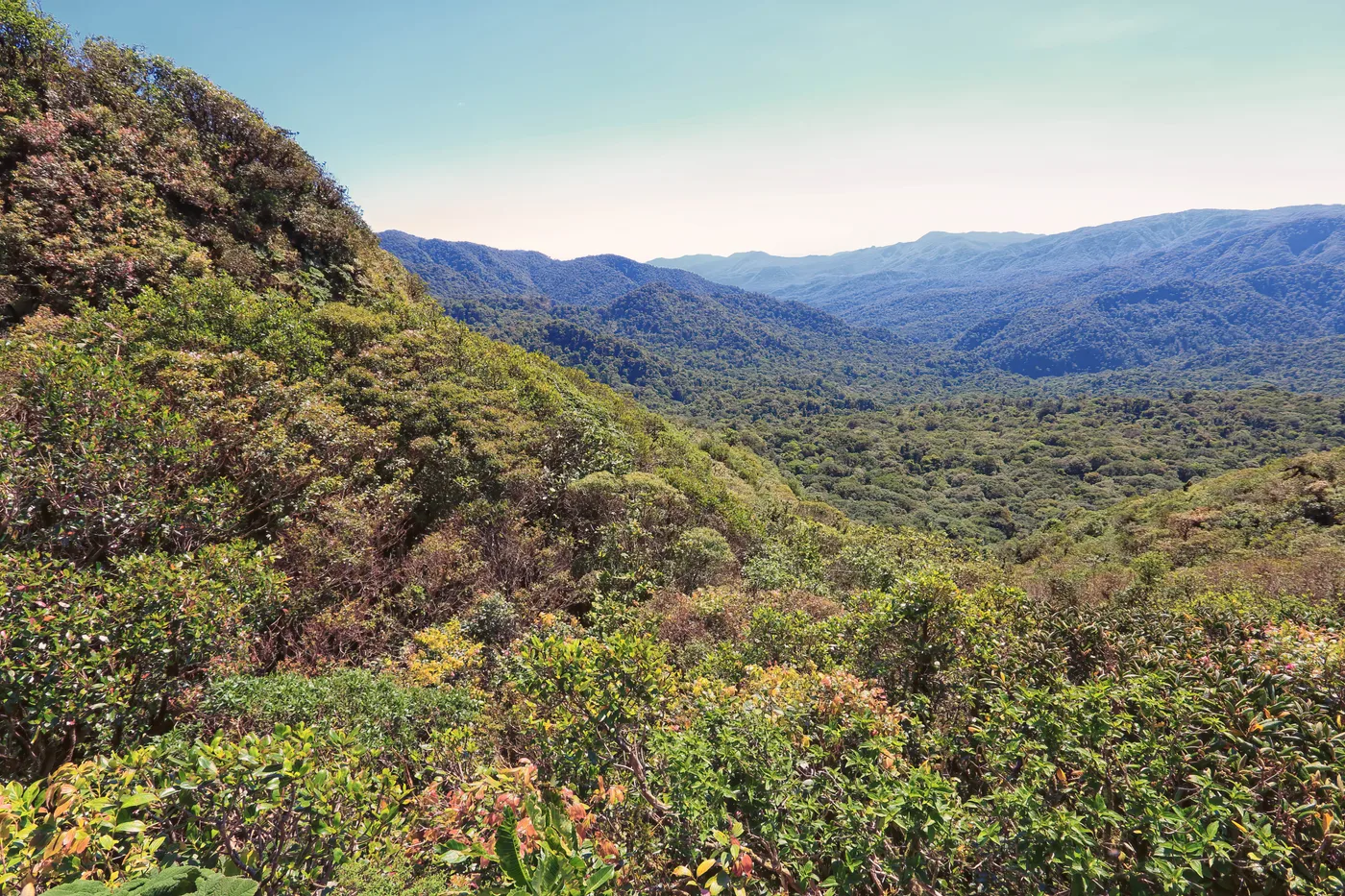 BIOLOGICAL_RESERVE